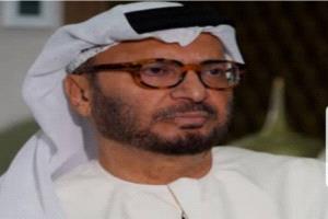 الامارات تعلن موقفها الرسمي من تقرير المصير بجنوب اليمن