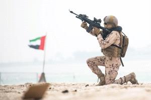 العليمي يلغي اتفاقية الدفاع المشترك مع الإمارات ويمهل قواتها 24 ساعة لمغادرة اليمن