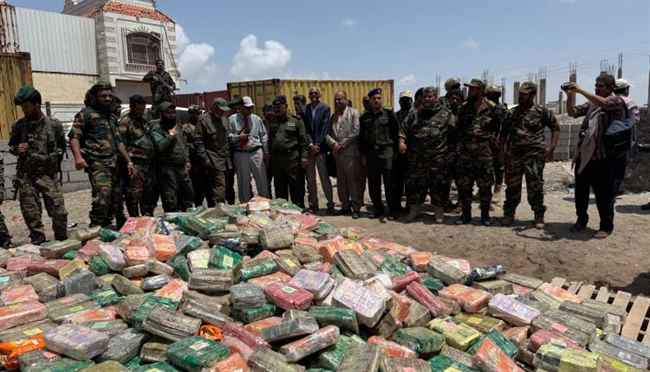 النيابة الجزائية المتخصصة تتلف طناً و 213 كيلو جرام من المخدرات .. ضبطتها الحملة الأمنية غرب لحج