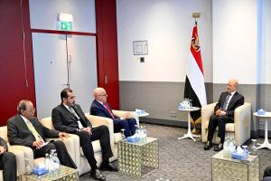 العليمي يطالب بدعم خليجي من ألمانيا لانهاء الانقلاب الحوثي على الدولة