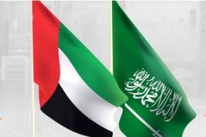 قناة بريطانية تكشف حقيقة خلاف السعودية والإمارات في اليمن