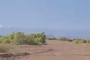 القوات الجنوبية تستعيد السيطرة على ذوباب وتتقدم نحو باب المندب