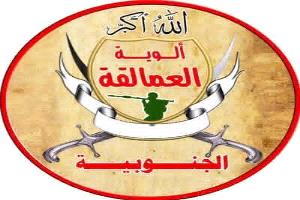 العمالقة الجنوبية تخوض معارك مع الحوثيين بباب المندب